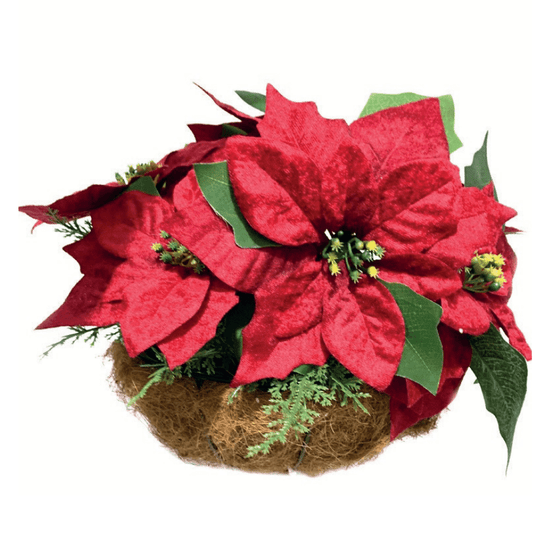 Poinsettia LED Forever Flowerz Hanging Basket