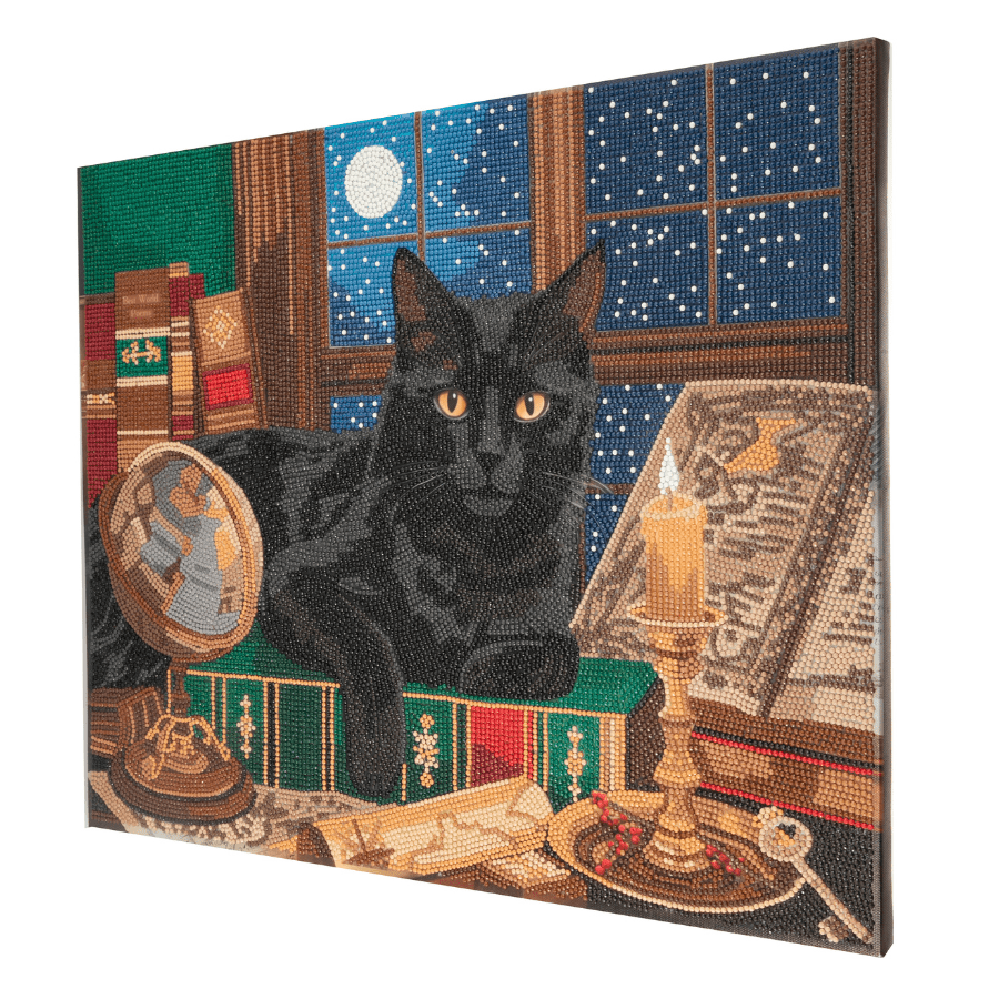 Black Cat Crystal Art Canvas Kit 50x40cm