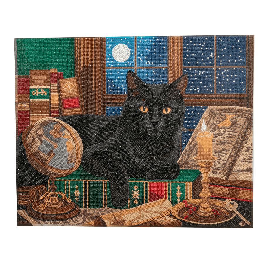 Black Cat Crystal Art Canvas Kit 50x40cm