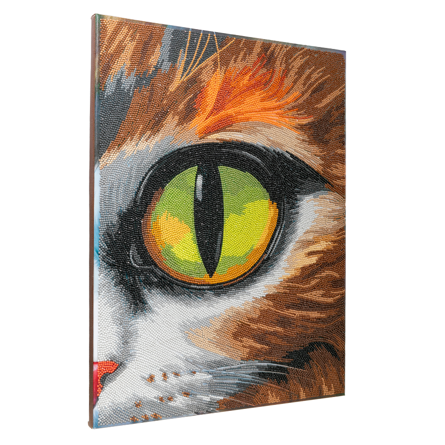 Cat Eye Crystal Art Canvas Kit 40x50 angle
