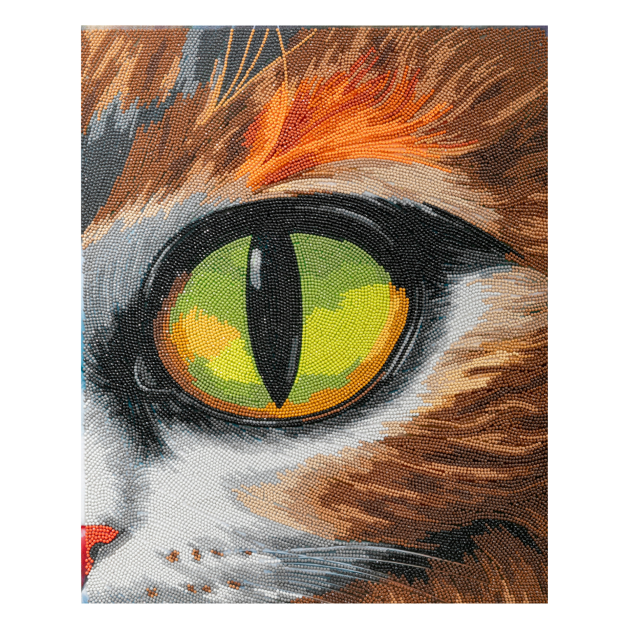 Cat Eye Crystal Art Canvas Kit 40x50 design