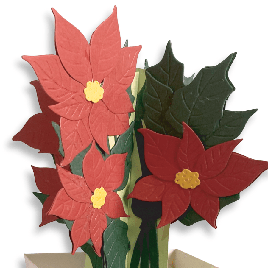 Craft Buddy Poinsettia Beautiful Bouquet 3D Gift Card Die Set3