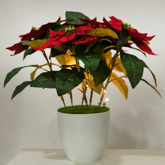 Forever Flowerz Poinsettia Plant Pot Kit Finished Look