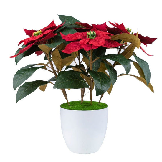 Forever Flowerz Poinsettia Plant Pot Kit Finished Product