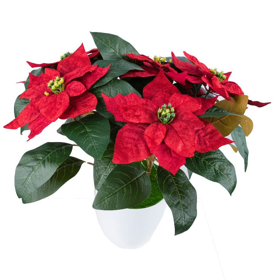 Forever Flowerz Poinsettia Plant Pot Kit - Red