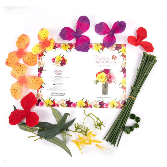 Forever Flowerz Alstroemeria Kit Vibrant contents