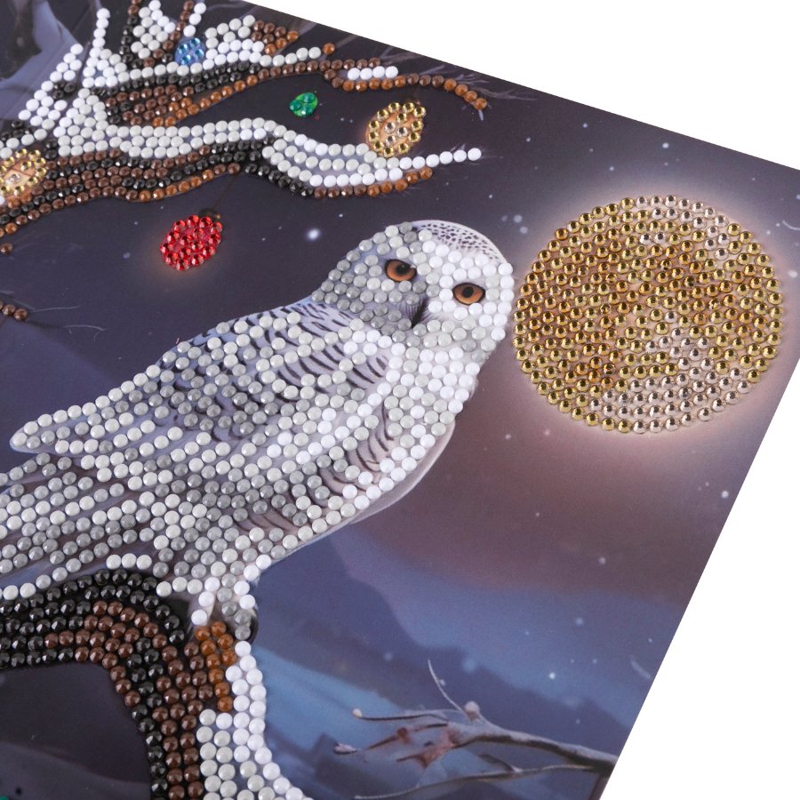 Frosted moon Crystal Art Card kit 18x18cm 1