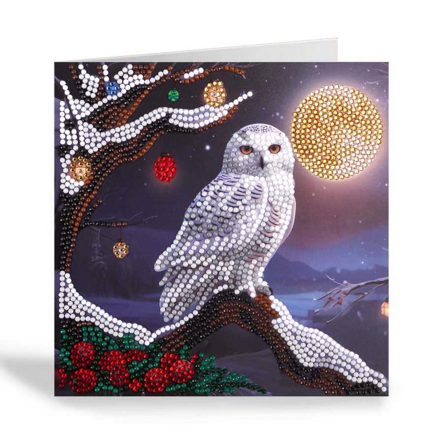 Frosted moon Crystal Art Card kit 18x18cm 8