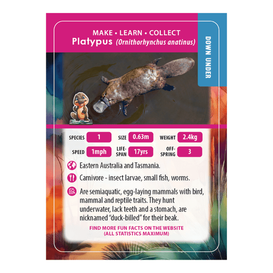 Load image into Gallery viewer, Platypus Crystal Art Wildlife Buddies educard front
