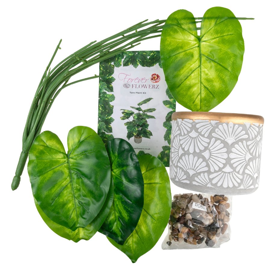 Forever Flowerz Taro Plant Kit - Green/White