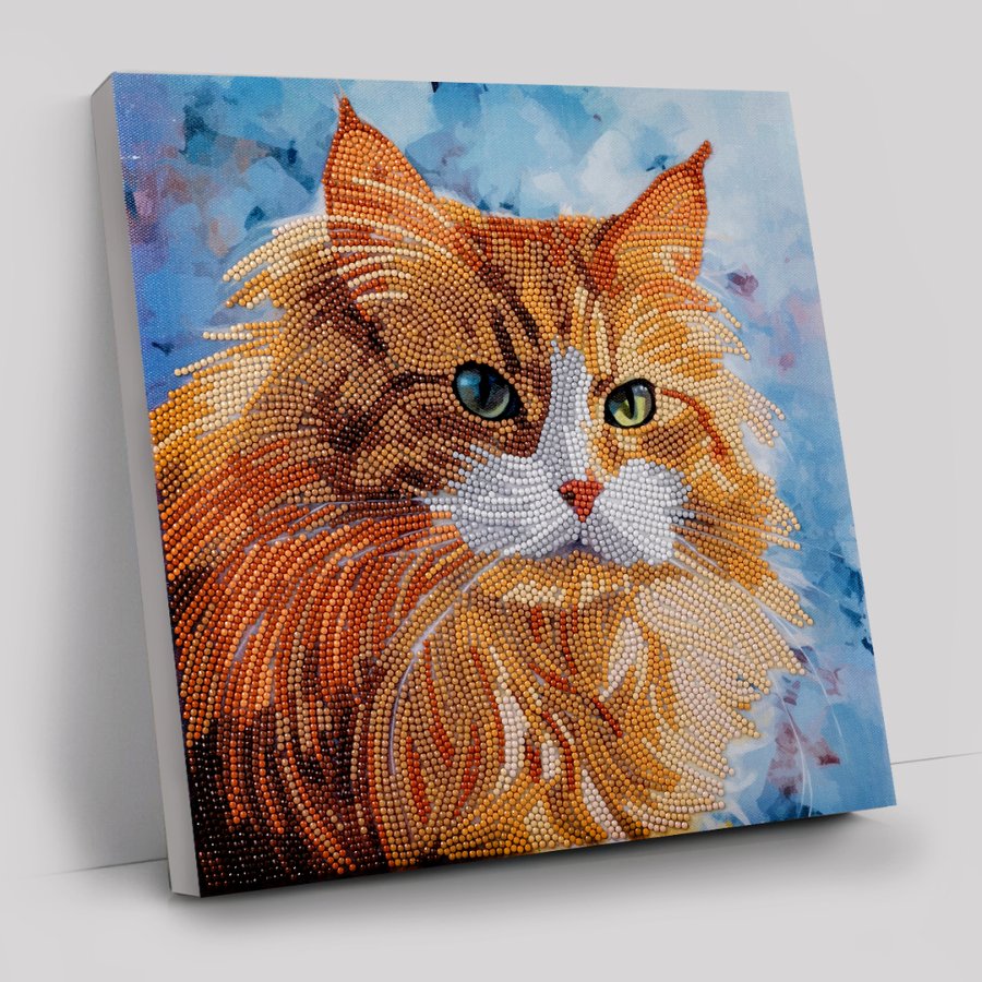 curious cat Art Kit 30x30cm
