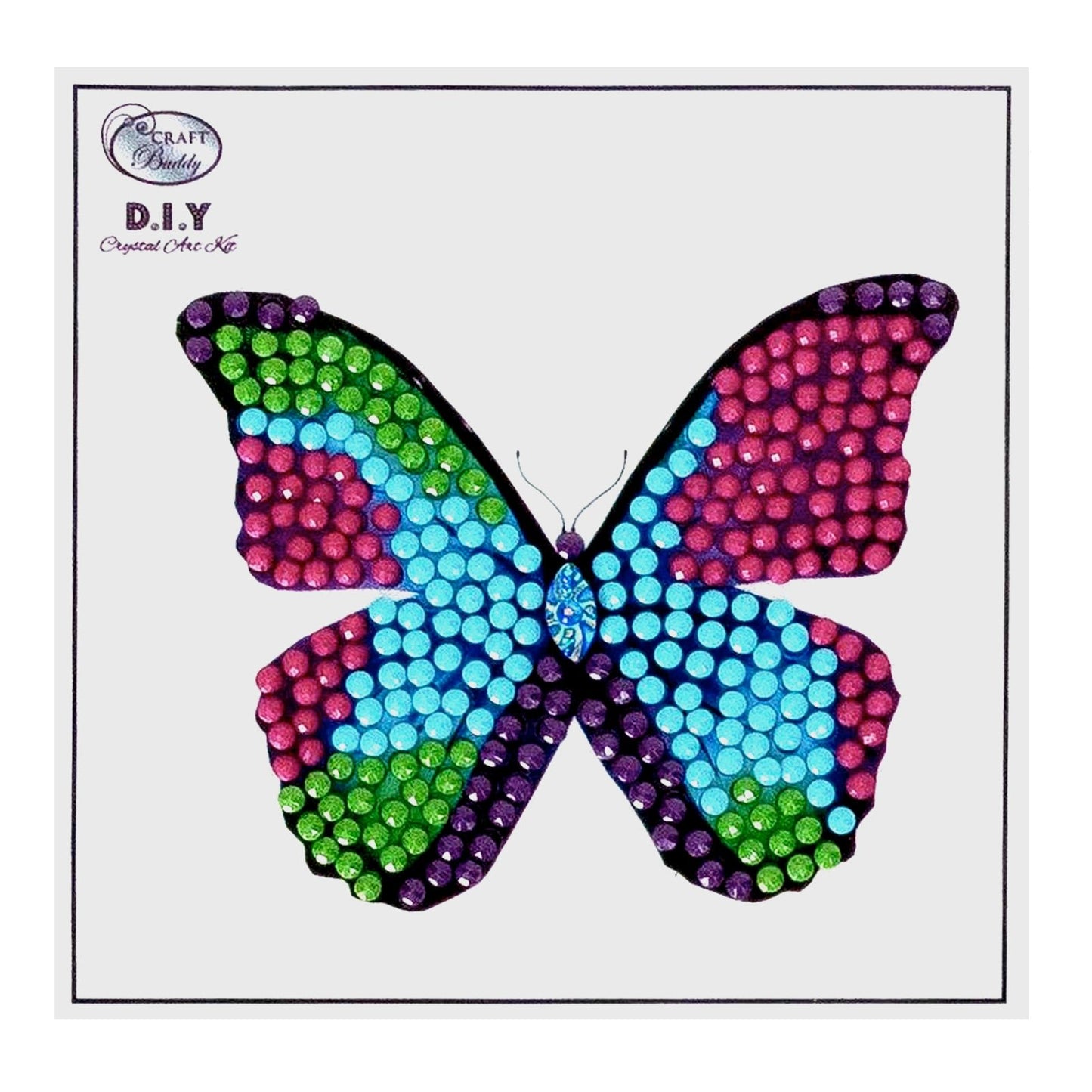 Disco Butterfly - Crystal Art Motifs (With Tools)