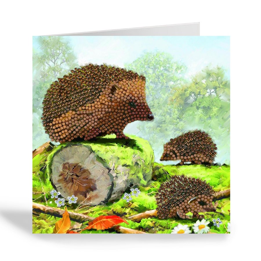 happy hedgehog crystal art card kit 6