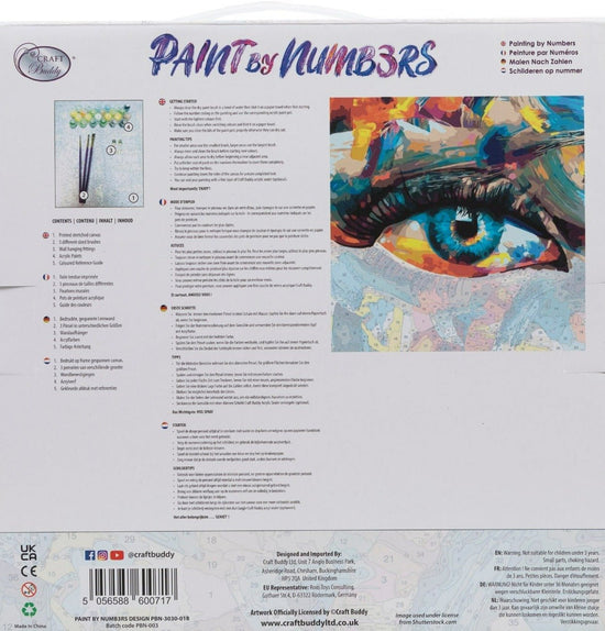 "Creative Eye" 30x30cm Paint By Numb3rs Kit - Back Packaging