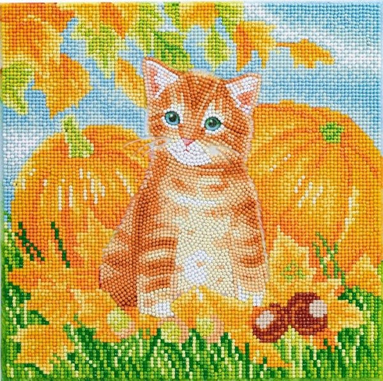 Autumn cat crystal art kit