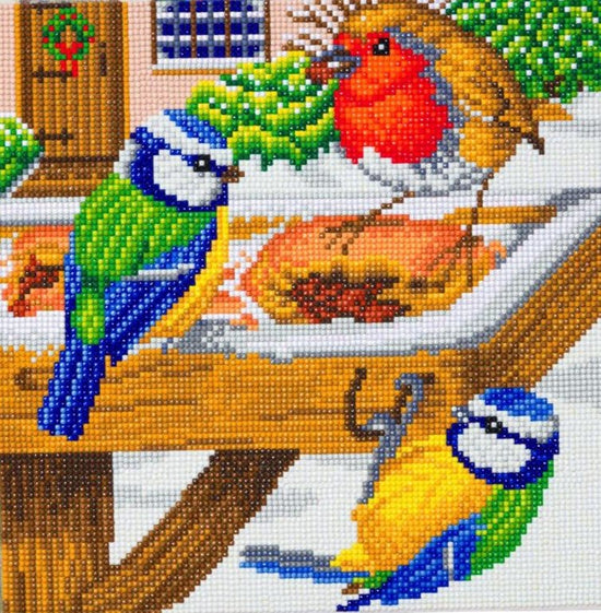 Hungry birds crystal art kit