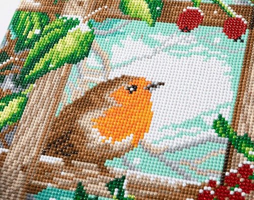 Robin at the fence crystal art canvas art kit close up