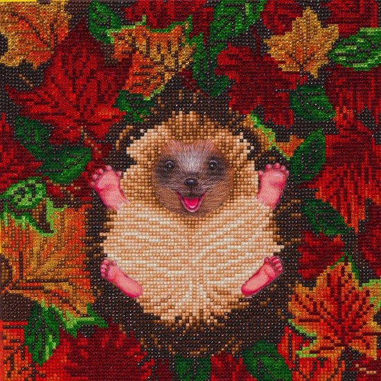 Autumn hedgehog crystal art canvas kit