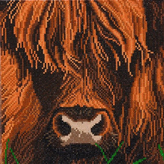 Highland cow crystal art canvas kit