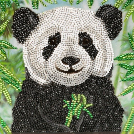 "Baby Panda" 18x18cm Crystal Art Card