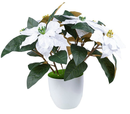 Forever Flowerz Poinsettia Plant Pot Kit - finished product