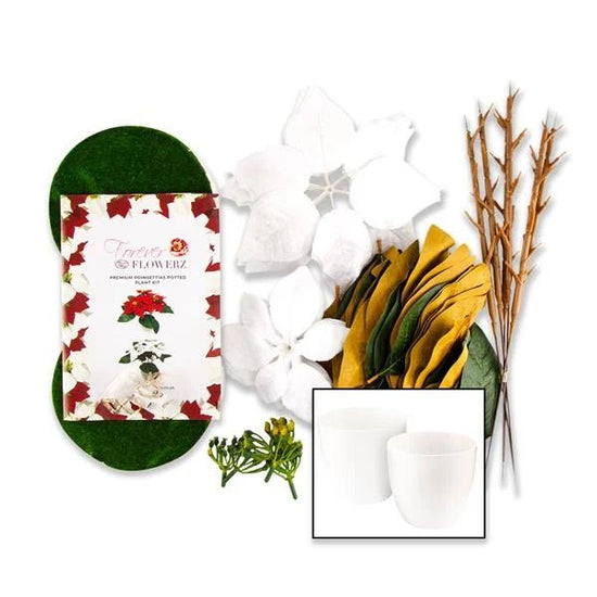 Forever Flowerz Poinsettia Plant Pot Kit - Contents