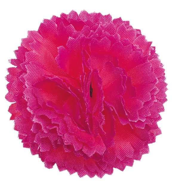 Flower Making Kit - Classic Carnations