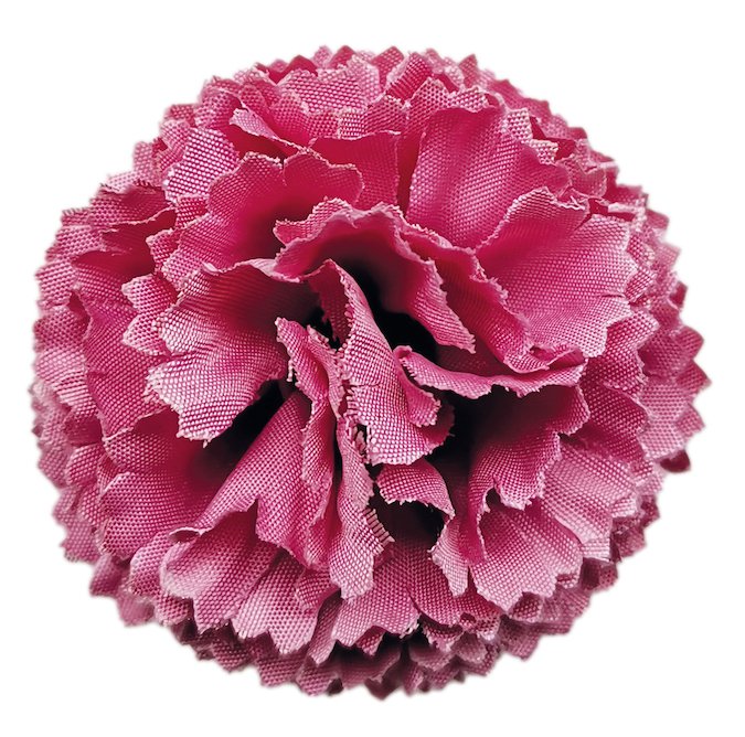 Flower Making Kit - Classic Carnations