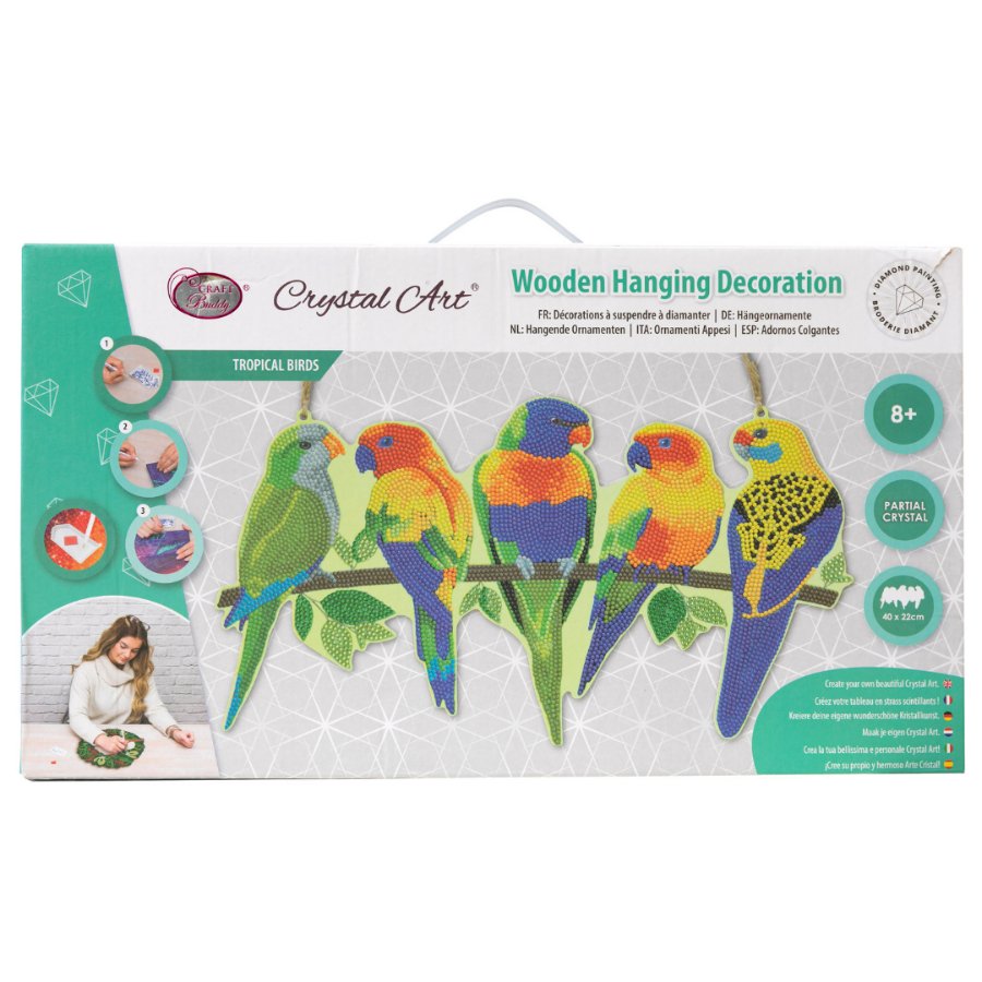 crystal-art-hanging-wall-decoration-parrot-paradise-front-packaging