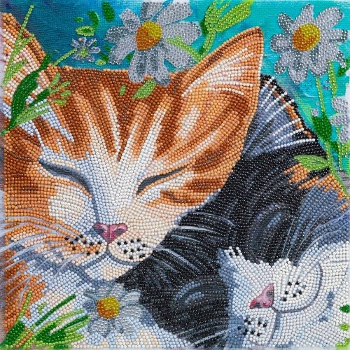 Sleepy cats crystal art kit