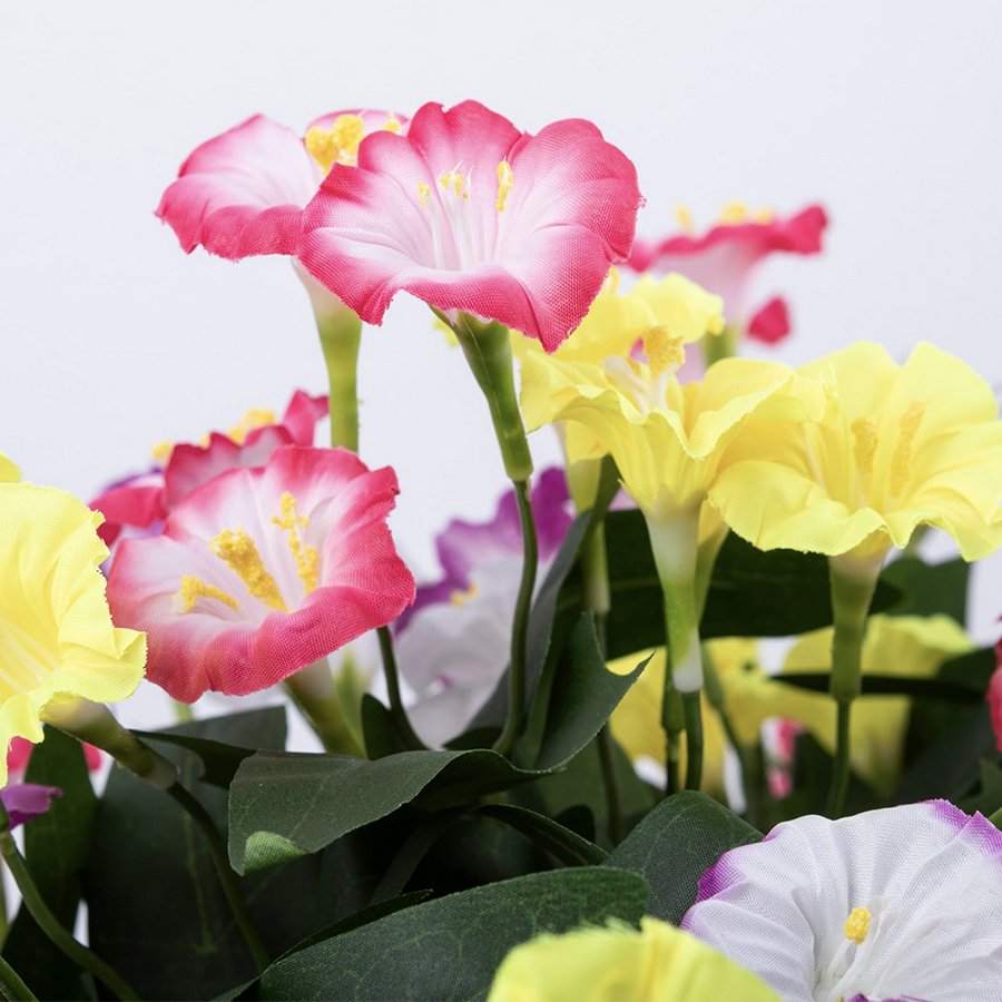 Pretty petunias forever flowerz with stems and leaves close up